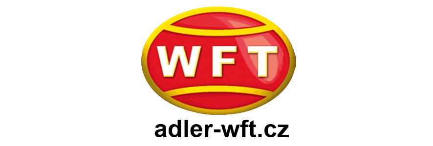 wft logo